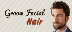 Groom Facial Hair