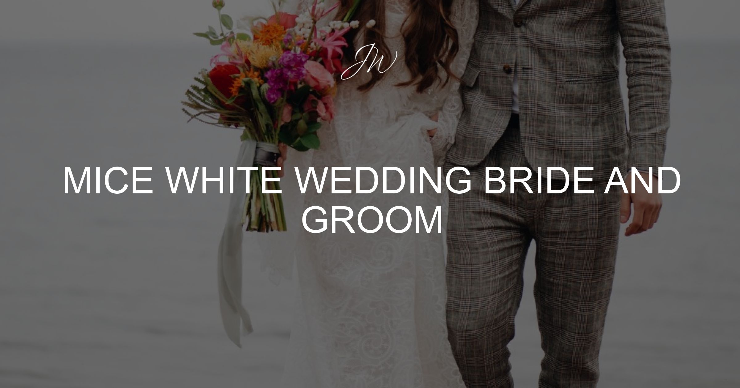 Mice White Wedding Bride and Groom - Jayne Williams Cake Tops
